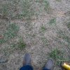 Campeonato Rural 2019 (39)